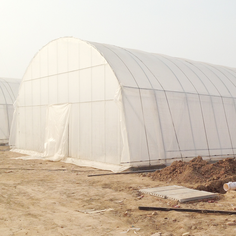 Easy To Install Agricultural Greenhouses for Growing Flowers Vegetables and Fruits