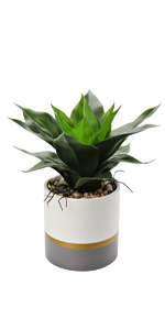 fake desk plants