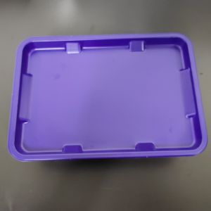 Purple light mouthed custom plastic tray mushroom plastic container packaging