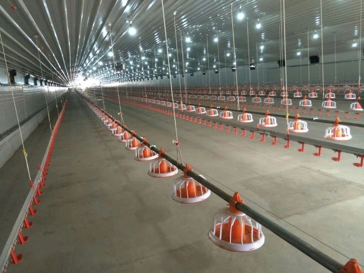 Galvanized Full Antomatic Steel Poultry Farm Shed Bird House Prefabricated