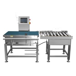 CE ISO Conveyor Check Weighing Machines Self - Diagnosis Function