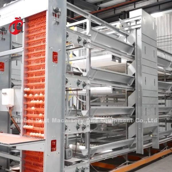 Hot Dip Galvanized White Poultry Cage System Large Capacity Layer Farm Cages