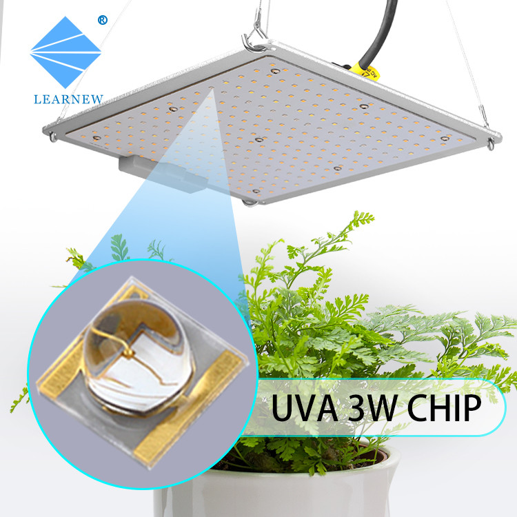 120DEG UVA 3W 700mA 395nm 405nm UV Led Chip For UV Curing And Inkjet Curing