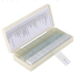 China Microscope 50pcs SET Mixed Plant Animal ODM Biology Prepared Slides on sale