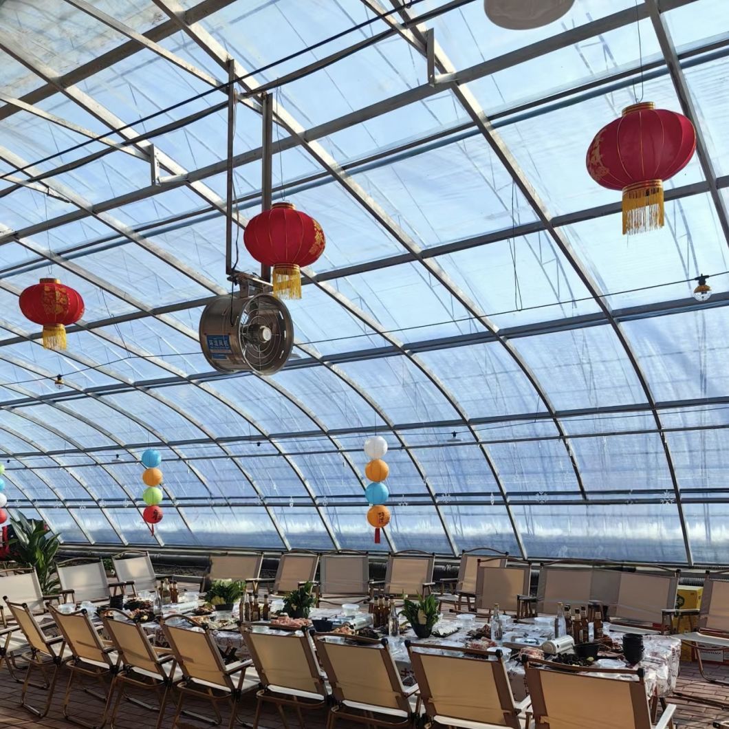 China Origin Flower Planting Drip Irrigation Sunlight Greenhouse
