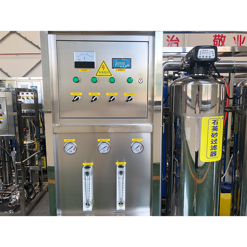 Complete Mineral Water Purification System with 1 Ton Automatic Cleaning and RO Filter