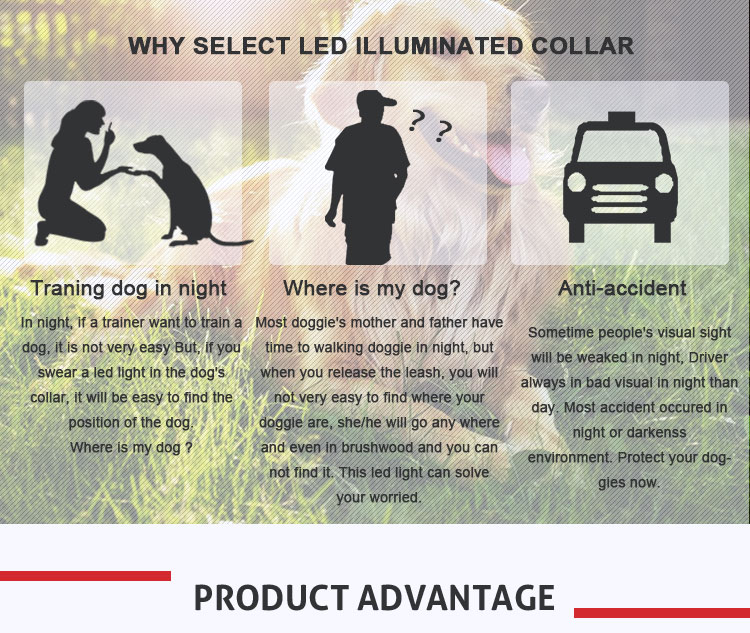 Light Up LED Dog Collar , Luminous Flashing Dog Collars For Small Dogs