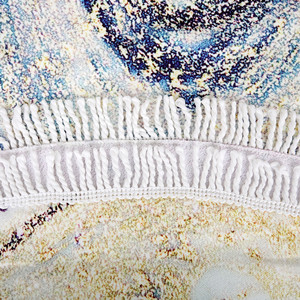Roundie Terry Towel