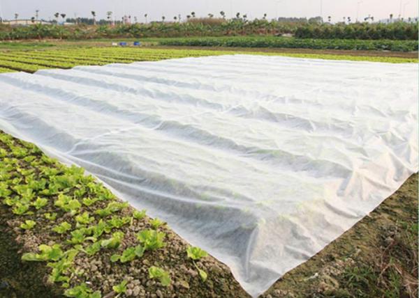 Landscaping Breathable Agriculture Non Woven Fabric Anti Frost Weed Killer