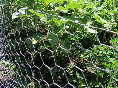 Hdg Galvanized Woven Hexagonal 4.0mm Welded Gabion Cage Boxes
