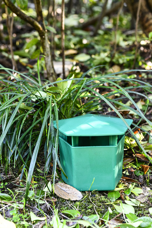 Farm Lawn Garden Snail Slug Catcher The Ultimate Solution for Pests in Your Garden