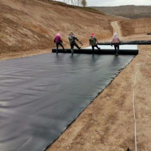  Double Smooth Surface 1mm Geomembrane for High and Low Temperature Resistance in Black Manufactures