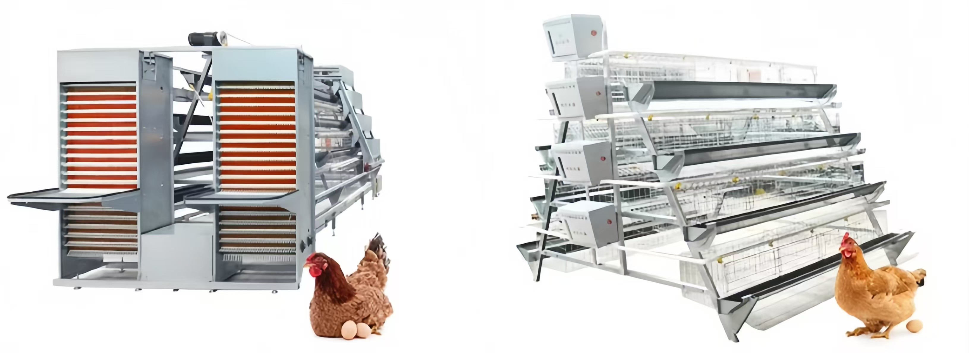 Automatic Broiler Chicken Farming Equipment H Type Chicken Steel Cage
