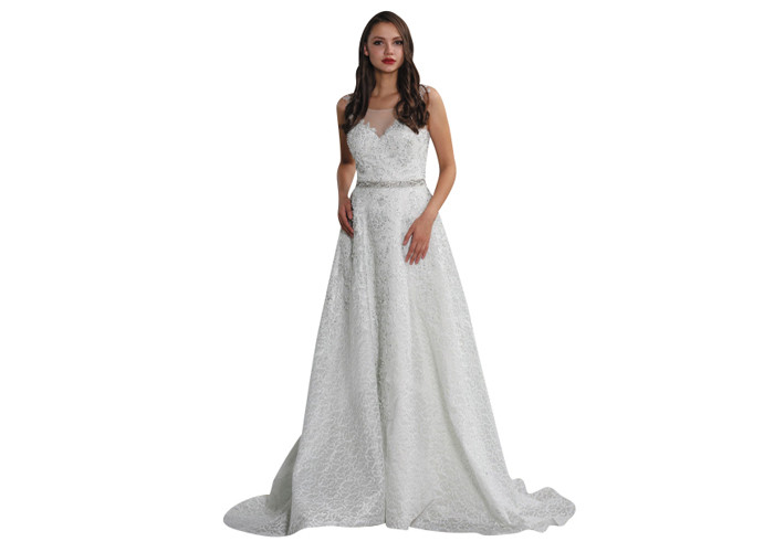 Boat Neck See Through Prom Party Dress / Big Net Ladies Evening Ball Gown Dresses