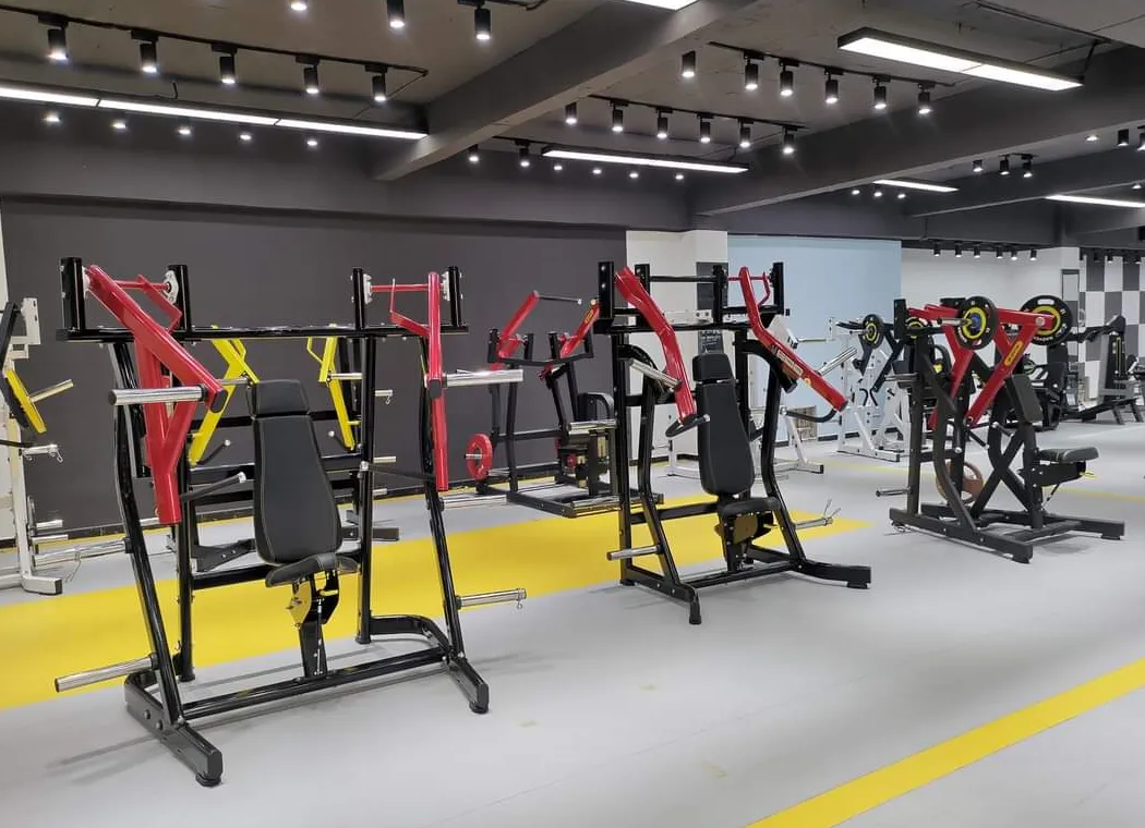 Gym Equipment Plate Loaded Tricep Press Arms Shoulders Workout Seated Dips Machine