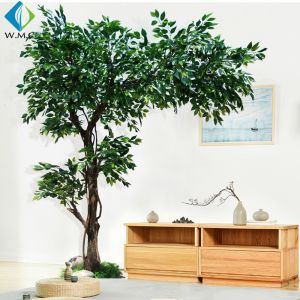 One Side Type Artificial Ficus Tree Customized Design 5-10 Years Life Time