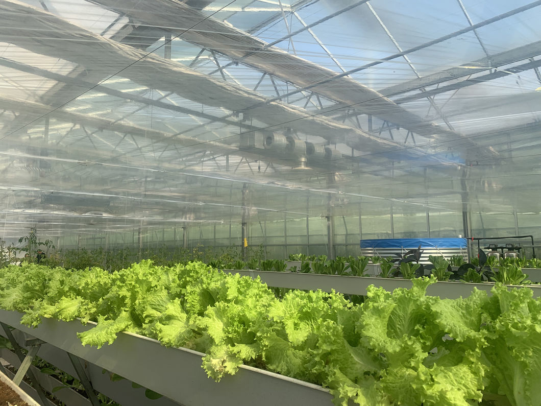 Advanced Soilless Culture Techniques for Film Farming