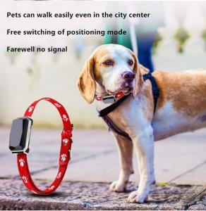 China Beidou Positioning Intelligent 45X45mm PET Training Collars Gps Tracking Collar For Dogs on sale