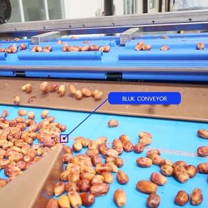 Hardness And Softness Sorting 1.4 Tons Per Hour 6-Lane Palm Dates Sorting