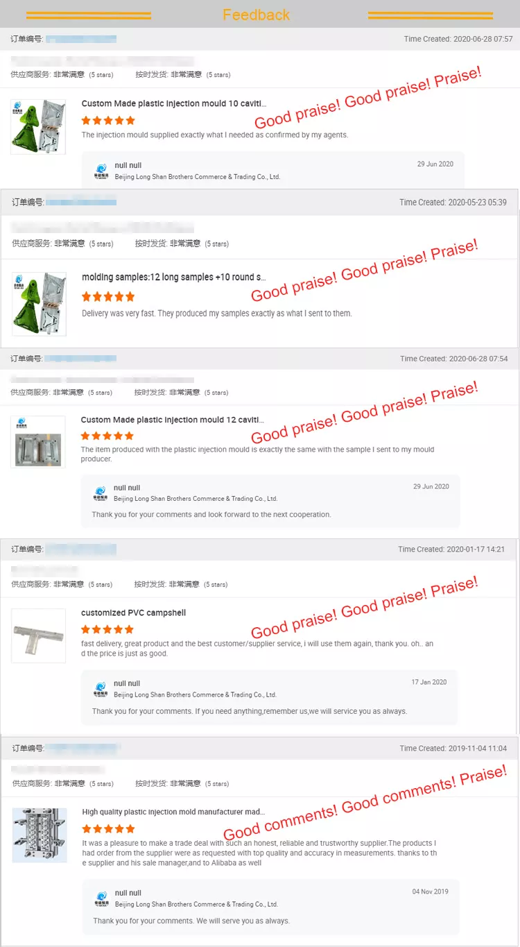 Plastic Bottle Blow Molding Mold Single Cavity Multiple Cavity for Household Product