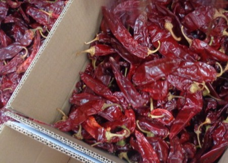 1 Year Shelf Life Sweet Paprika Pepper Dried Red Chilli Additive For High Quality Food Ingredient