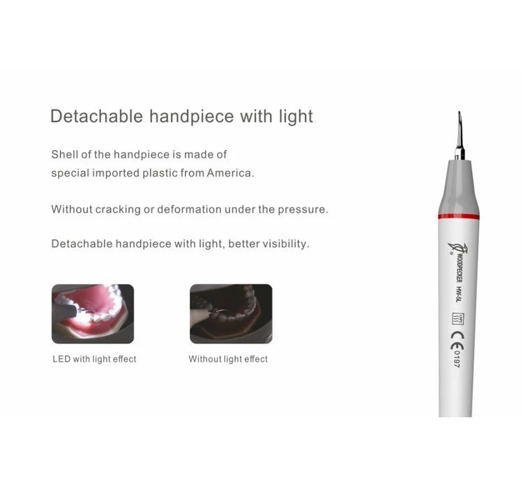 Original Woodpecker Ultrasonic Dental Scaler Root Canal Cleaning UDS-E LED Ultrasonic Scaler