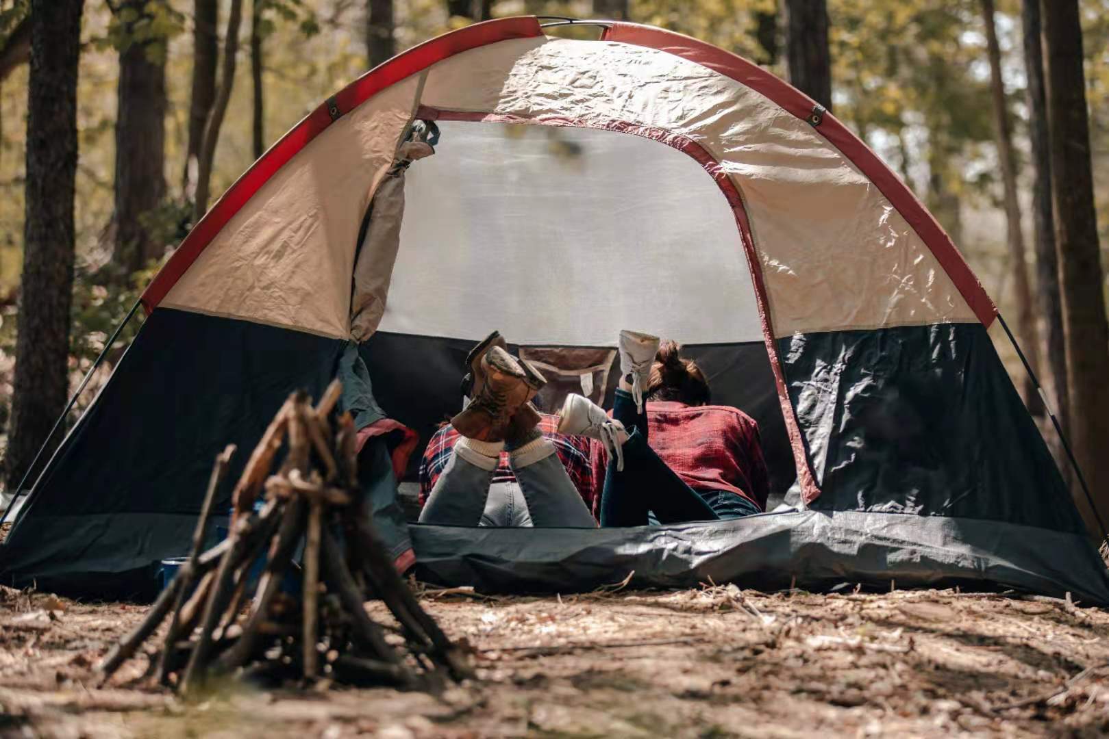 Windproof Reflective Guyline Cord Camping Tent Guide Ropes Braided 50ft/100ft