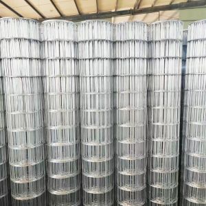 Electric Galvanized Roll type Welded Wire Mesh Square hole Rectangle hole