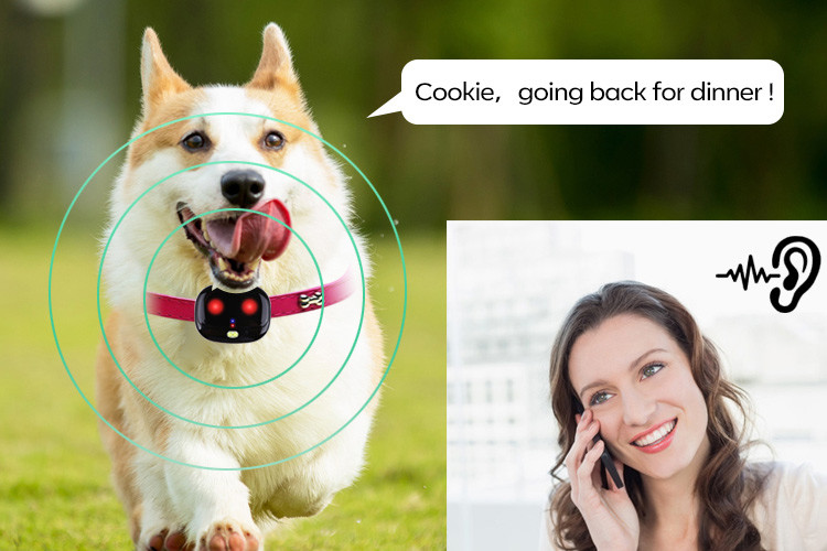 Ip67 Waterproof Pet GPS Tracker , 35g Dog Collar Tracking Device