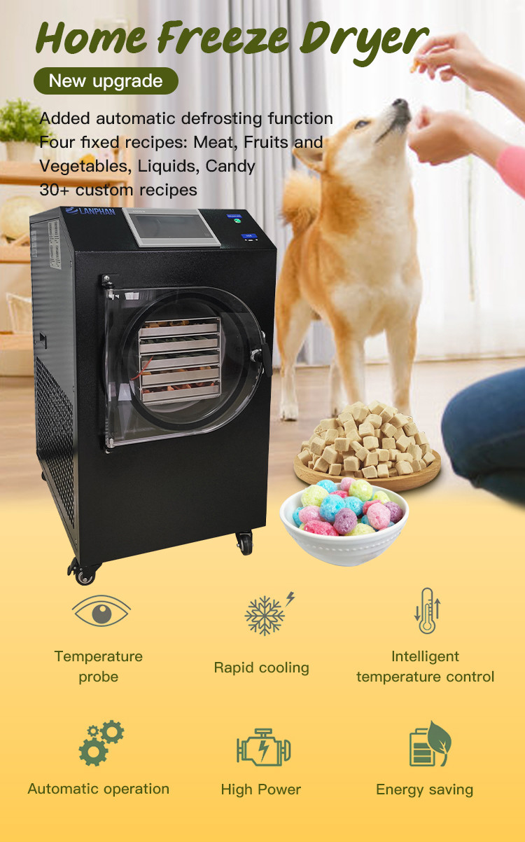 Home Use Freeze Dryer Moveable 5 Trays WiFi Control Freeze Dryer