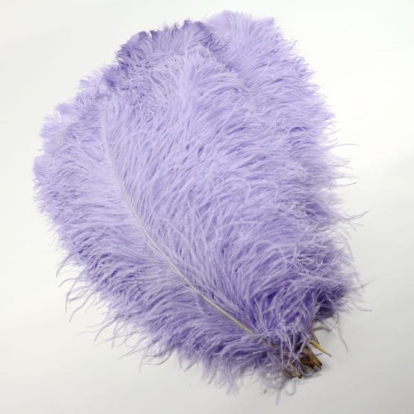 Carnival Costumes Decoration Millinery Feather , Ostrich Plume Feathers Multi