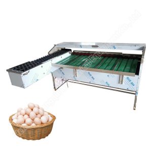 Egg Sorting Machine By Weight Sorting Line For Sorting Eggs Egg Sorting Grading