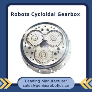 High Rigidity Cycloidal RV Gear Reducer With Dual Support Mechanism