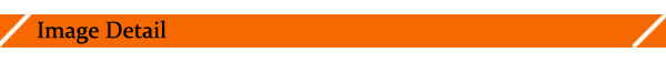 Tcp/ip biometric time attendance system fingerprint time clock time and attendance system