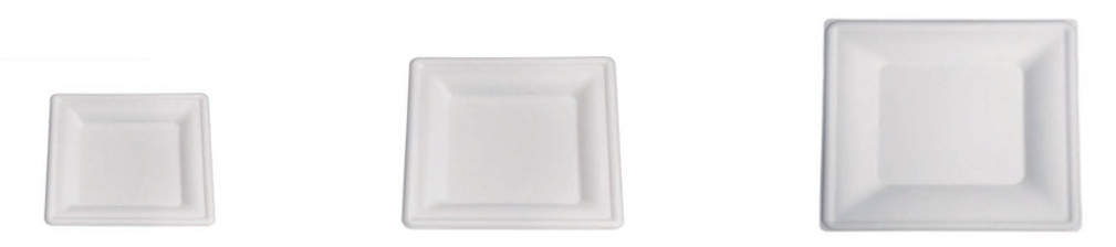 Disposable 10 Inch Compostable Biodegradable Sugarcane Bagasse Plates