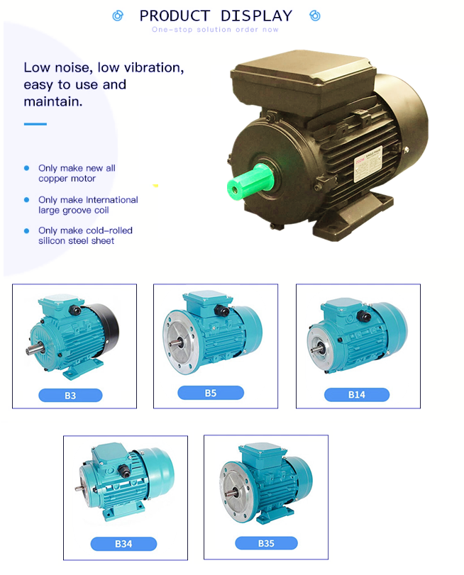 single phase induction motor