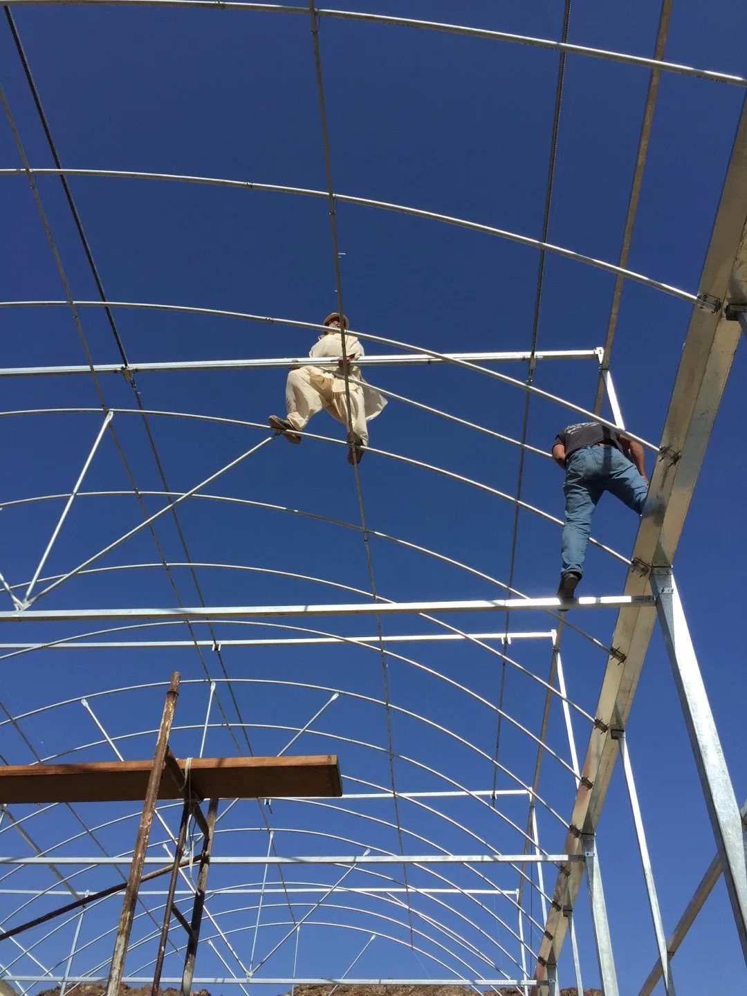 Easy Install Plastic Film Greenhouse , Dome Shaped Greenhouse Span Width 6 / 8 / 10m