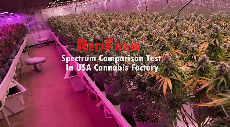 800W 8Bars Osram 660nm Horticulture Grow Lights For 4x4 Ft Hydroponics Garden