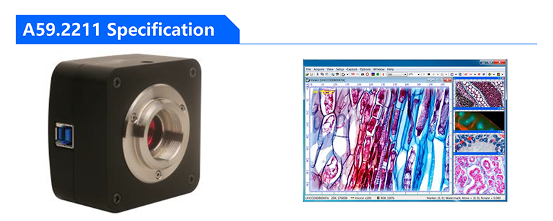 Digital CMOS Microscope Eyepiece Camera A59.2211 C Mount Eyepiece USB3.0