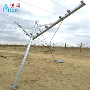 Durable Y Shaped Open Gable Trellis System For Orchard Plantation Easy To