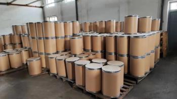 Shenzhen Ayou Technology Co., Ltd.