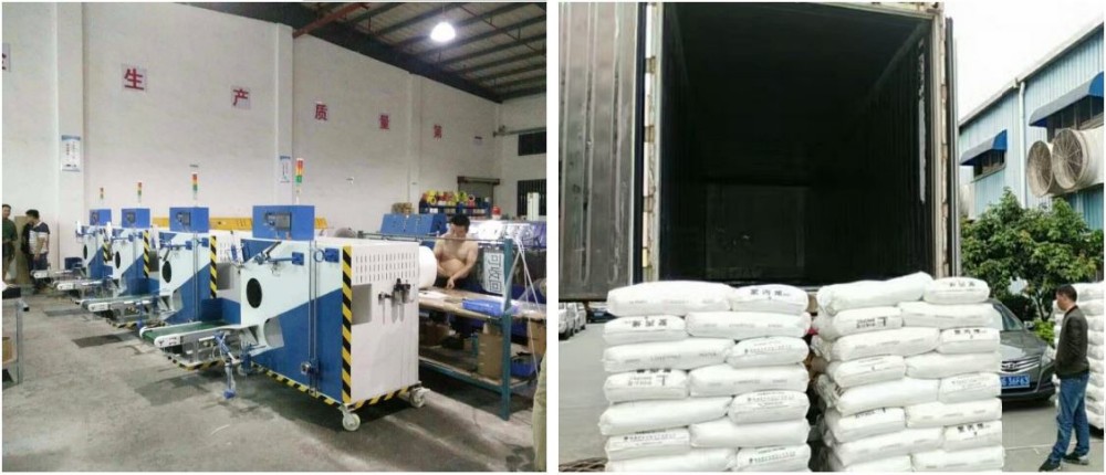 15mm Plastic Automatic PP Strap Band Extrusion Line