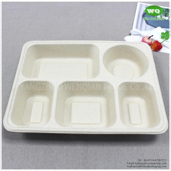 5 Compartments Unbleached Bagasse Tray-China Factory Offer Eco-friendly Fast