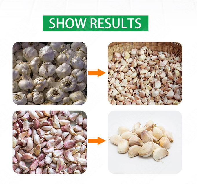 Garlic Automatic Food Processing Machines Garlic Size Grading Sorting Machine Peeler