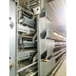 A Type Layer Rearing Broiler Chicken Cage System Fully Automated