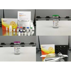  Laboratory Research Sheep EGF Sandwich Elisa Protocol / ELISA Assay Kit Strong Sensitivity Manufactures