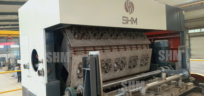 Automatic Paper Coffee Cup Tray Machine Customized With Dryer