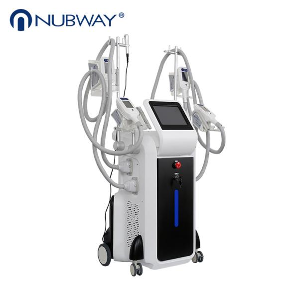 Professional CE approved 4 Handles cryolipolysis fat freezing body slimming