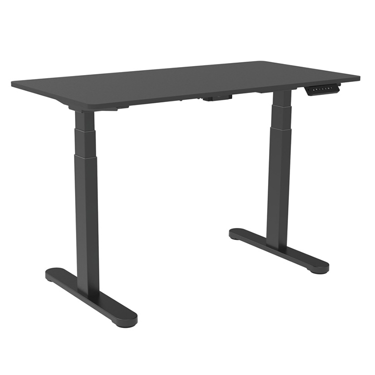 SPCC Steel/Iron Material Electric Sit Standing Study Table for Adult Dual Motor Table