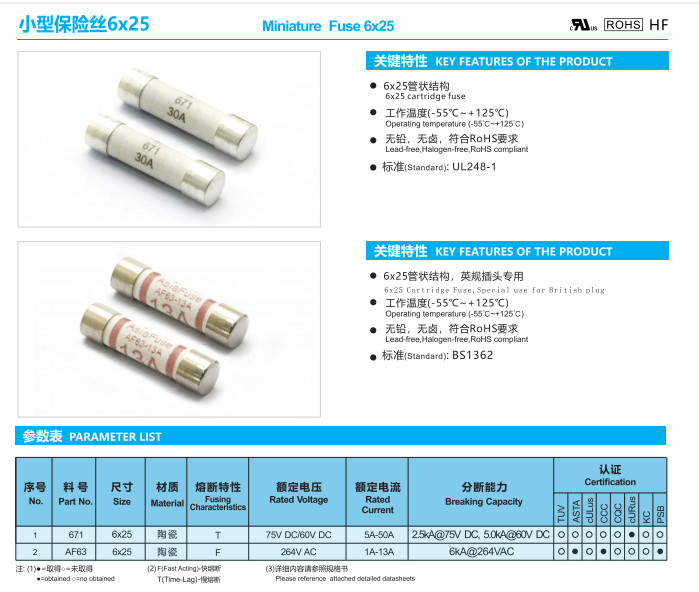 High Breaking Capacity 5x20mm Time Lag Cartridge Fuse Link 5242100203C 10A 250V